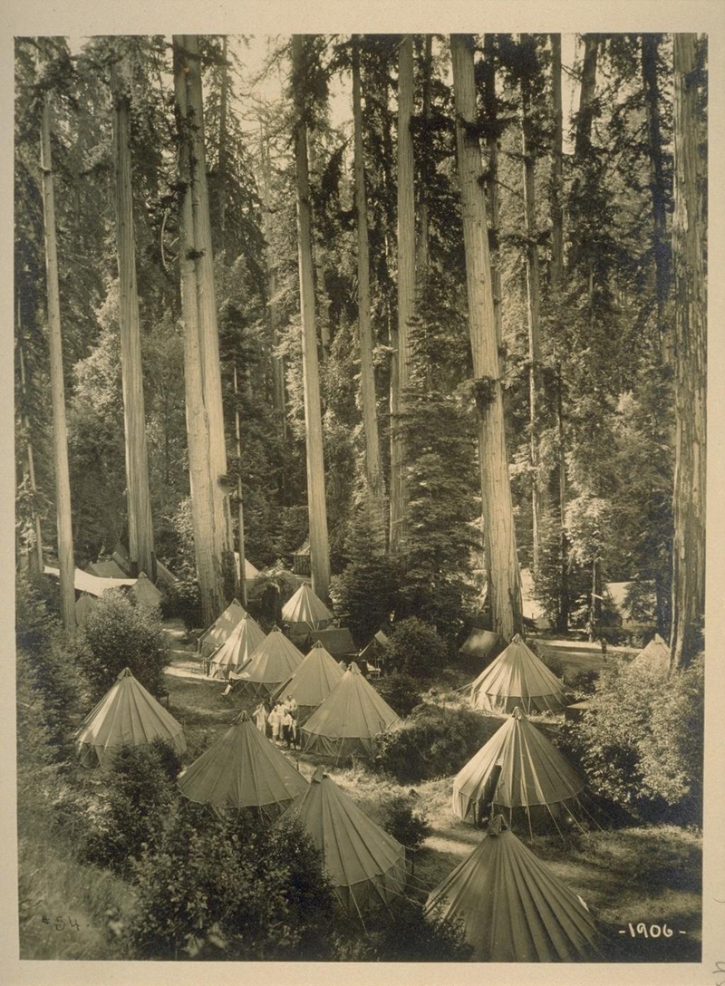 Illustration for article titled Hay un club secreto en un bosque de California donde cada año se reúnen algunos de los hombres más poderosos del planeta